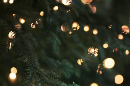 Close up of Christmas Tree with lights bokeh effect